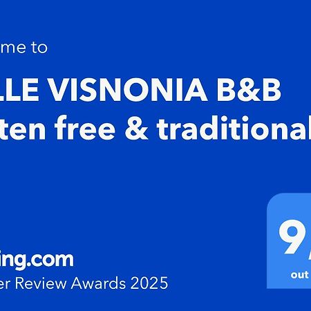 Belle Visnonia B&B Gluten Free & Traditional Béganne エクステリア 写真